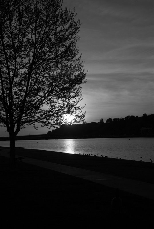 Natomas Recreation Area Sunset.jpg